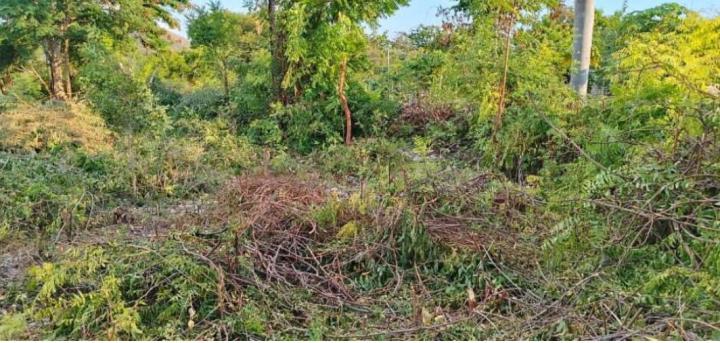 8ad3f94c-fa2f-4020-899c-aec367c756f2