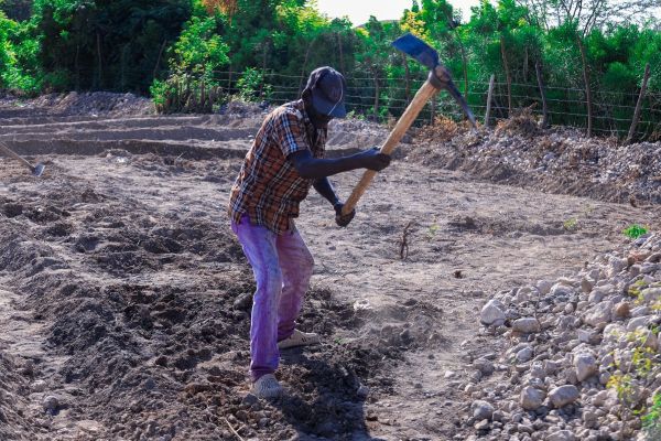 Sustainable_Agriculture