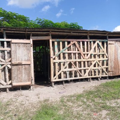 WhatsApp-Image-2025-10-11-at-11.13.14-PM