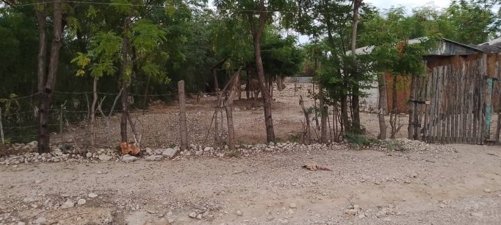 WhatsApp-Image-2025-12-