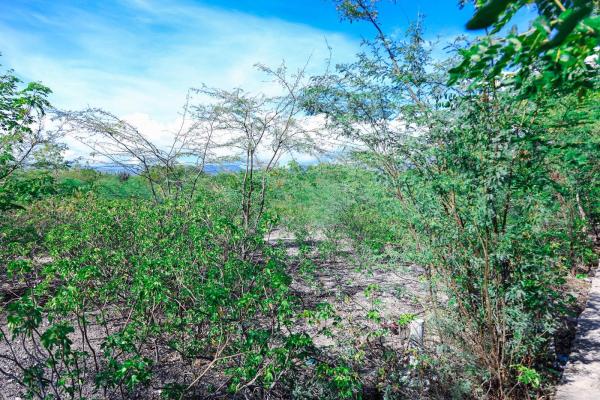 WhatsApp-Image-2025-12-10-at