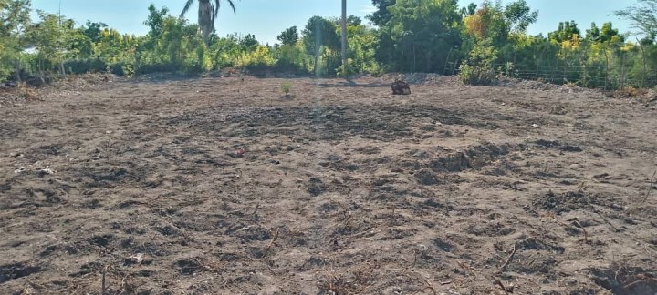 WhatsApp-Image-2025-12-17-at-10.26.54-PM