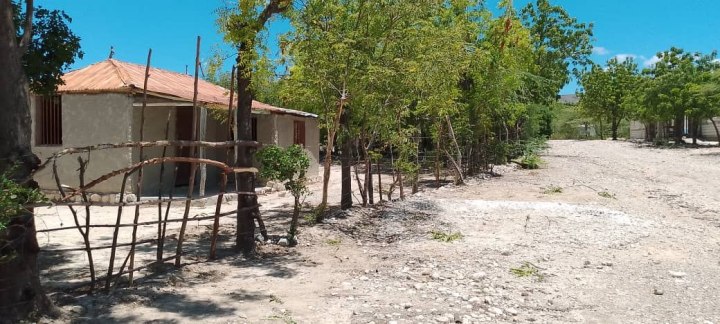 WhatsApp-Image-2025-12-17-at-5.35.38-PM