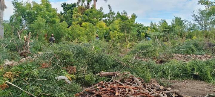 WhatsApp-Image-2025-12-18-at-12.42.21-AM