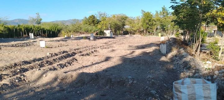 WhatsApp-Image-2026-01-21-at-12.54.55-PM