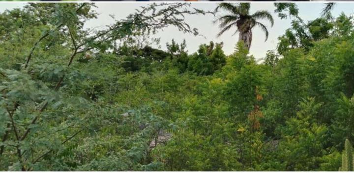 c6229d19-bff5-4f76-895d-0c91ceb8feee