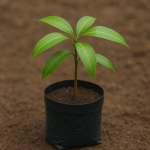 Fruit Tree Sponsorship Package