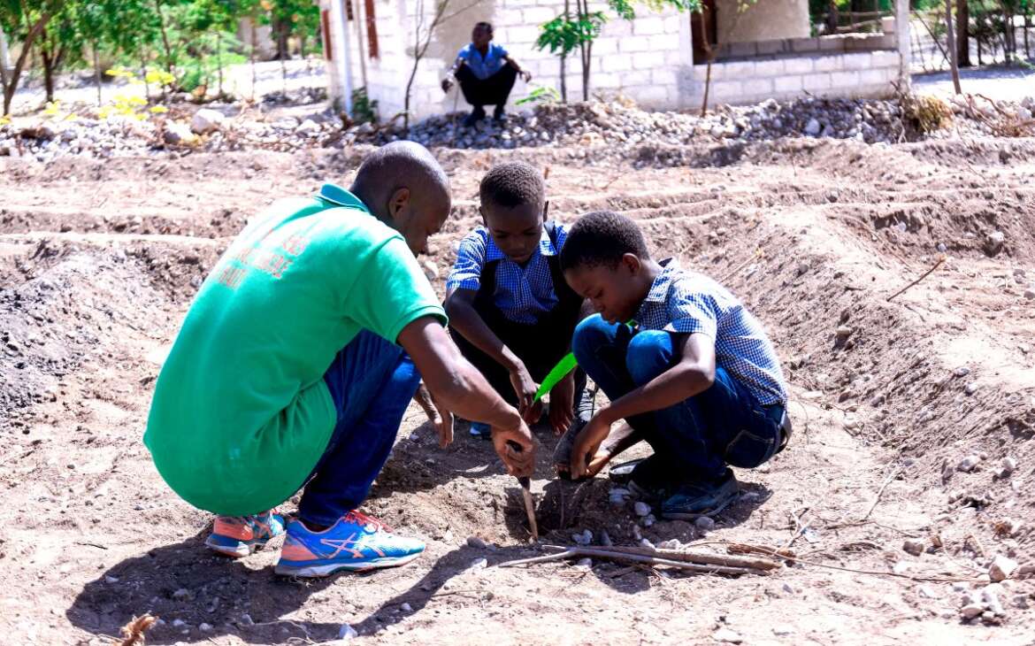 Reforesting Rural Haiti for Generations