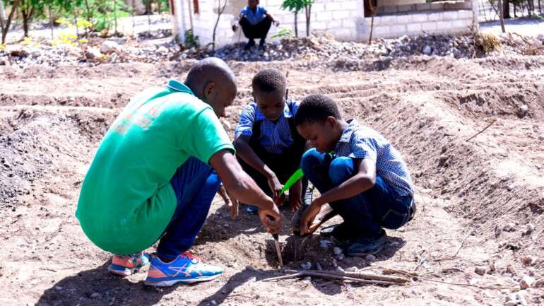 Reforesting Rural Haiti for Generations