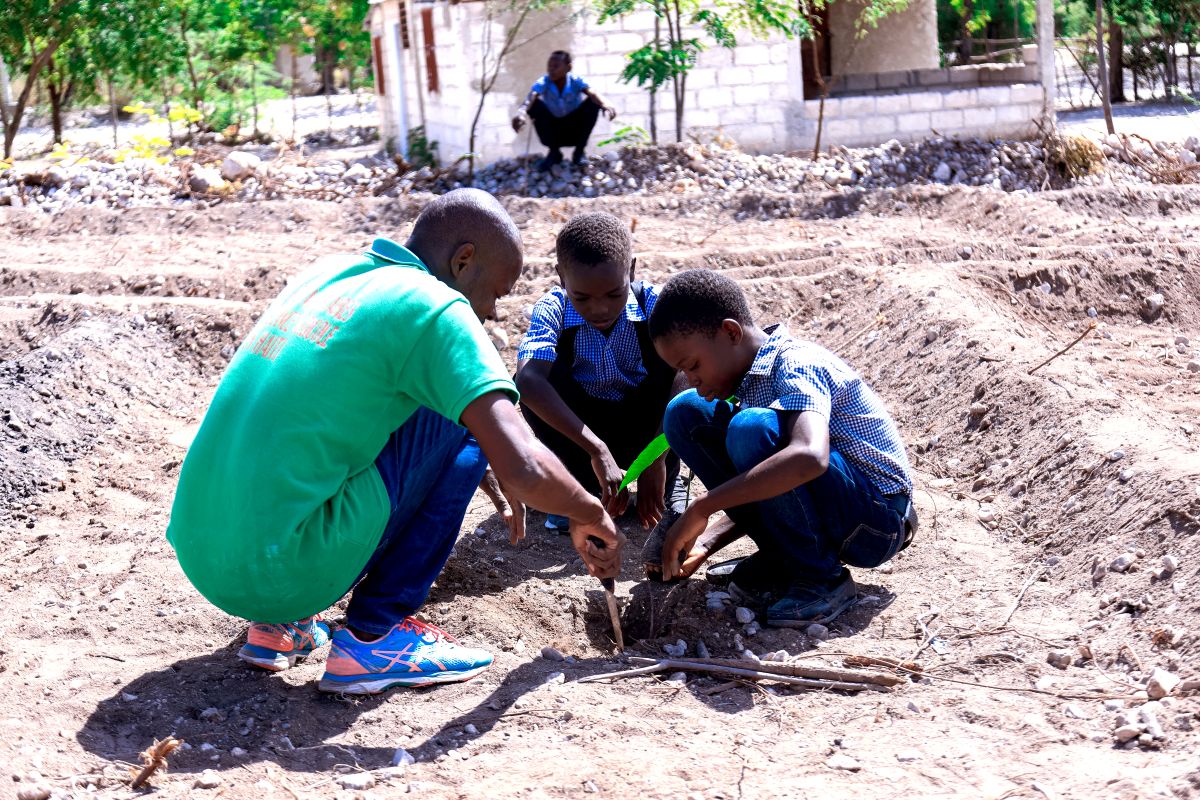 Reforesting Rural Haiti for Generations