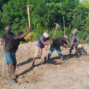 Reforestation & Agriculture