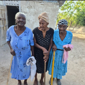 Elderly Support & Vulnerable Adults Care