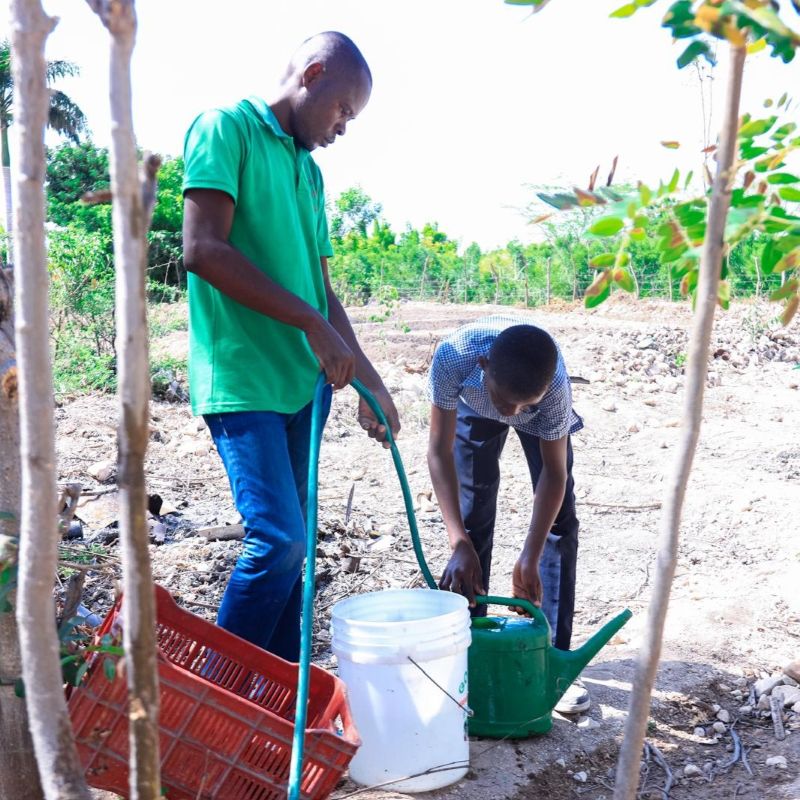 Community Strengthening & Local Governance Impact